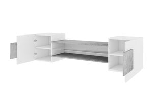 ТВ столик Gaelin LED, белый/серый цена и информация | Тумбы под телевизор | kaup24.ee