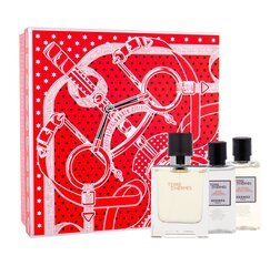 Komplekt Hermes Terre d'Hermes meestele: EDT 50 ml + kehapesuvahend 40 ml + raseerimisjärgne losjoon 40 ml цена и информация | Мужские духи | kaup24.ee