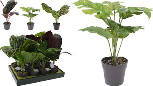 ARTIFICIAL PLANT 4ASS CLR hind ja info | Kunstlilled | kaup24.ee