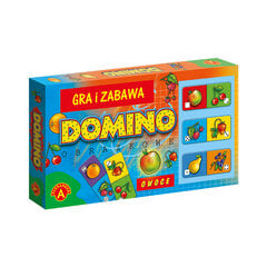 Mäng Dominoes Fruit цена и информация | Настольные игры, головоломки | kaup24.ee