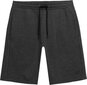 Meeste lühikesed püksid 4F, must hind ja info | Meeste lühikesed püksid | kaup24.ee