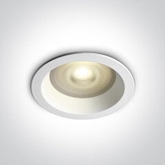 ONELight sisseehitatud lamp Range 10105R2P/W цена и информация | Монтируемые светильники, светодиодные панели | kaup24.ee