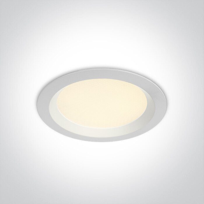 ONELight sisseehitatud LED-paneel 10113UV/W цена и информация | Süvistatavad ja LED valgustid | kaup24.ee