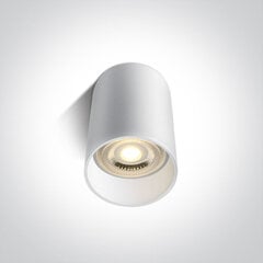 OneLight потолочный светильник Cylinders 12105E/W цена и информация | Потолочные светильники | kaup24.ee