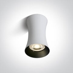 ONELight laelamp Cylinder 12105F/W цена и информация | Потолочные светильники | kaup24.ee