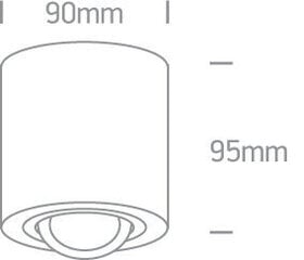 OneLight потолочный светильник Round 12105AB/W цена и информация | Потолочные светильники | kaup24.ee
