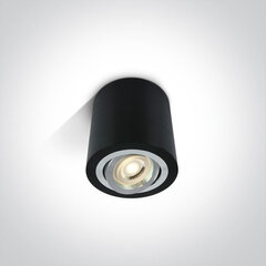 OneLight потолочный светильник Round 12105AB/B цена и информация | Потолочные светильники | kaup24.ee