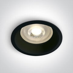 OneLight потолочный светильник Range 10105D1/B цена и информация | Потолочные светильники | kaup24.ee