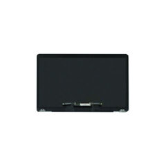 Sülearvuti ekraan Apple MacBook 13,3'' 2560 x 1600 (taastatud) hind ja info | Komponentide tarvikud | kaup24.ee