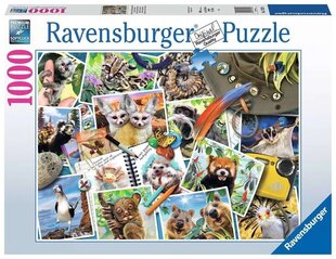 Паззл Животные Ravensburger цена и информация | Пазлы | kaup24.ee