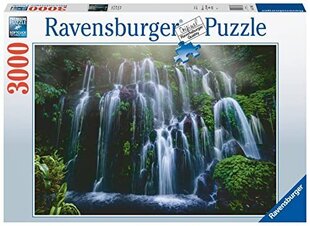 Puzzle kosed Ravensburger 10217116, 3000 tk цена и информация | Пазлы | kaup24.ee