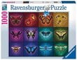 Puzzle liblikad Ravensburger 10216818, 1000 tk hind ja info | Pusled | kaup24.ee