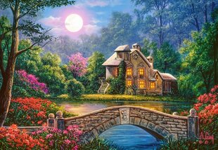 Пазл Castorland Puzzle Cottage in the Moon Garden, 1000 д. цена и информация | Пазлы | kaup24.ee