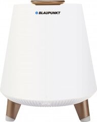 Blaupunkt BT25LAMP, valge hind ja info | Kõlarid | kaup24.ee