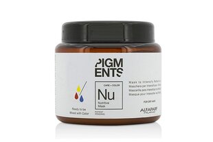 Toitev juuksemask - Alfaparf Pigments Nutritive, 200 ml hind ja info | Alberto Balsam Kosmeetika, parfüümid | kaup24.ee