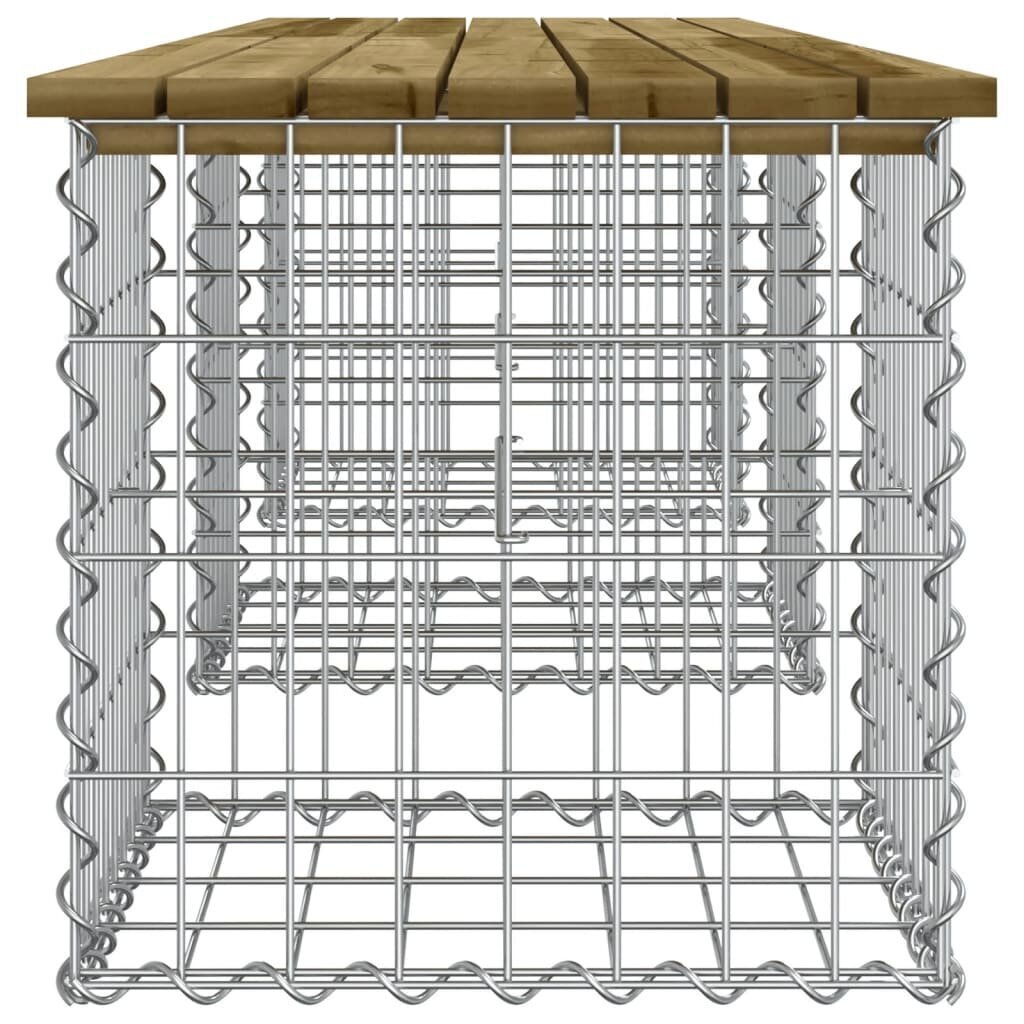 vidaXL gabioonpink, 203 x 44 x 42 cm, immutatud männipuit hind ja info | Aiapingid | kaup24.ee