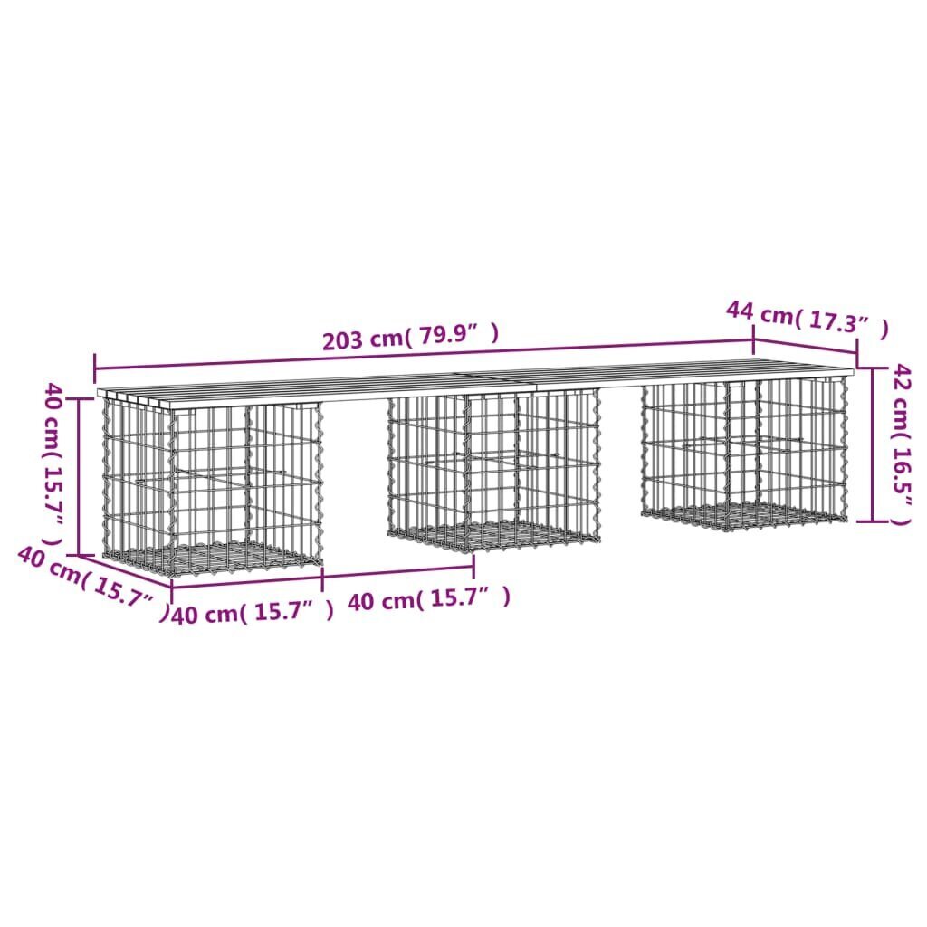 vidaXL gabioonpink, 203 x 44 x 42 cm, immutatud männipuit hind ja info | Aiapingid | kaup24.ee