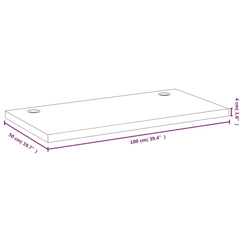 vidaXL kirjutuslaua plaat, 100 x 50 x 4 cm, bambus цена и информация | Lauaplaadid | kaup24.ee