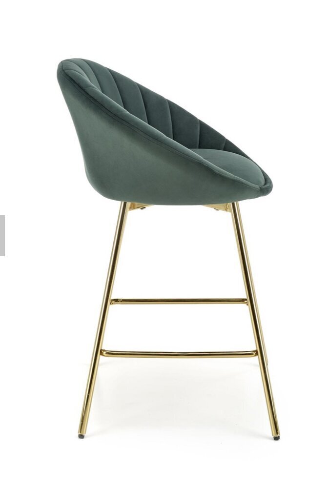 2-tooli komplekt H112, roheline/kuldne hind ja info | Söögitoolid, baaritoolid | kaup24.ee