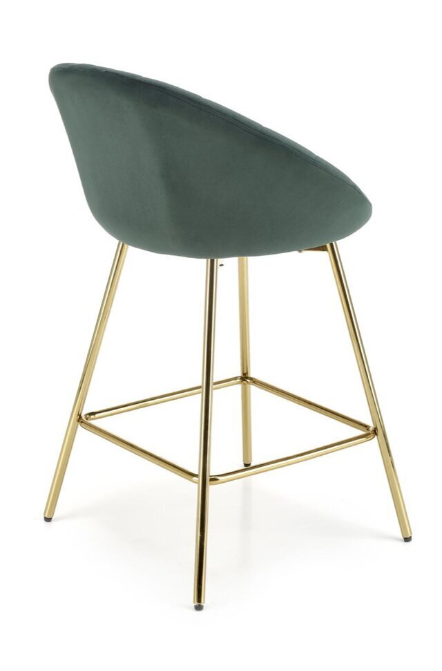2-tooli komplekt H112, roheline/kuldne hind ja info | Söögitoolid, baaritoolid | kaup24.ee