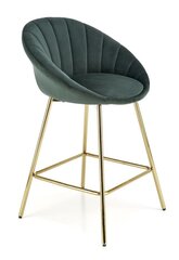 2-tooli komplekt H112, roheline/kuldne hind ja info | Söögilaua toolid, köögitoolid | kaup24.ee