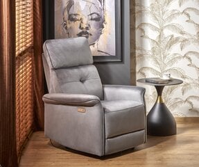 Кресло для гостиной Semir, серый цвет цена и информация | Кресла в гостиную | kaup24.ee