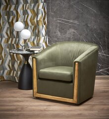 Кресло в гостиную Halmar Enrico, зеленый цвет цена и информация | Кресла | kaup24.ee