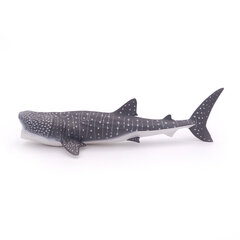 Фигурка Papo Китовая акула цена и информация | Развивающий мелкую моторику - кинетический песок KeyCraft NV215 (80 г) детям от 3+ лет, бежевый | kaup24.ee