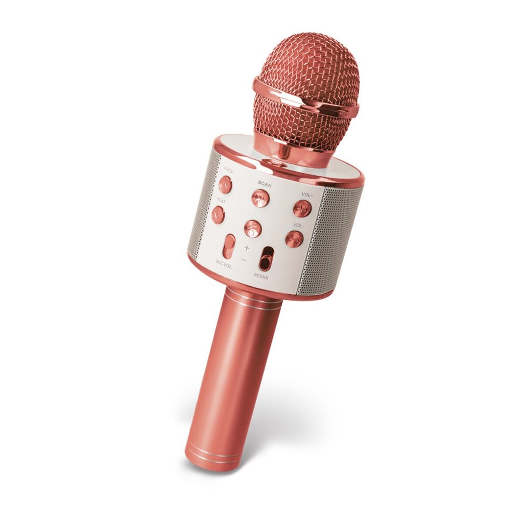 Forever BMS-300 цена и информация | Mikrofonid | kaup24.ee