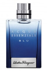 Туалетная вода Salvatore Ferragamo Acqua Essenziale Blu EDT для мужчин, 100 мл цена и информация | Мужские духи | kaup24.ee