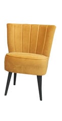 Кресло Zico, желтое цена и информация | Кресла в гостиную | kaup24.ee