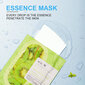 Mask mustikaga, 25ml (5 tk) цена и информация | Näomaskid, silmamaskid | kaup24.ee