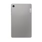 Lenovo Tab M8 (4th Gen) 4G 3/32GB Arctic Gray ZABV0122SE hind ja info | Tahvelarvutid | kaup24.ee