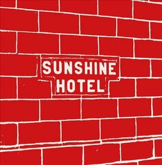 Mitch Epstein: Sunshine Hotel hind ja info | Fotograafia raamatud | kaup24.ee