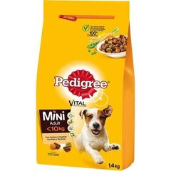 Kuivtoit koertele Pedigree kanaga, 1,4 kg цена и информация | Сухой корм для собак | kaup24.ee