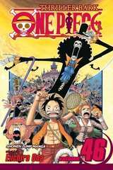 One Piece, Vol. 46: Adventure on Ghost Island, v. 46 цена и информация | Фантастика, фэнтези | kaup24.ee