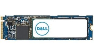 Dell AC037411 цена и информация | Внутренние жёсткие диски (HDD, SSD, Hybrid) | kaup24.ee