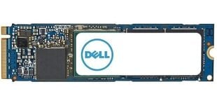 Dell AC037408 цена и информация | Внутренние жёсткие диски (HDD, SSD, Hybrid) | kaup24.ee