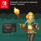 SanDisk MicroSDXC Zelda Edition 1TB Nintendo Switch/Lite цена и информация | Fotoaparaatide mälukaardid | kaup24.ee