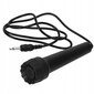 MQ6106 Springo elektriklaver mikrofoniga hind ja info | Arendavad mänguasjad | kaup24.ee
