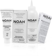 Стойкая краска для волос Noah 1.0 Black 140 мл цена и информация | Краска для волос | kaup24.ee