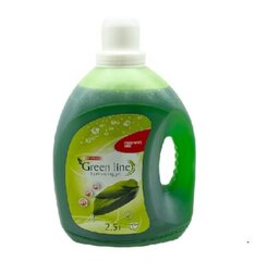 Green Line pesuvedelik, 2,5L hind ja info | Pesuvahendid | kaup24.ee