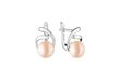 Hõbedast kõrvarõngad naistele Diamond Pearl hind ja info | Kõrvarõngad | kaup24.ee