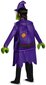 Legokostüüm Halloweeni nõid Disguise 124-135 cm (7-8 aastat) hind ja info | Karnevali kostüümid | kaup24.ee