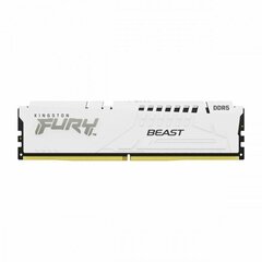 Kingston Fury Beast KF560C36BWE-16 цена и информация | Оперативная память (RAM) | kaup24.ee