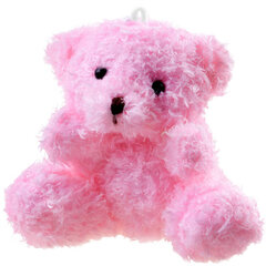 Плюшевый медведь, розовый цена и информация | Мягкие игрушки | kaup24.ee