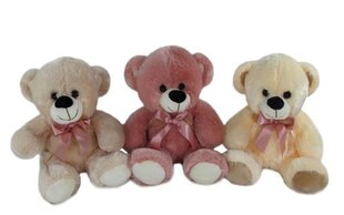 Pehme mänguasi karu, 30 cm hind ja info | Pehmed mänguasjad | kaup24.ee