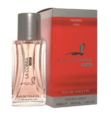 Meeste lõhn / tualettvesi 100ml HOMME Collection hind ja info | Meeste parfüümid | kaup24.ee