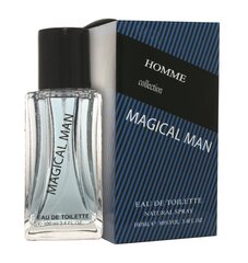 Meeste lõhn / tualettvesi 100ml HOMME Collection hind ja info | Meeste parfüümid | kaup24.ee