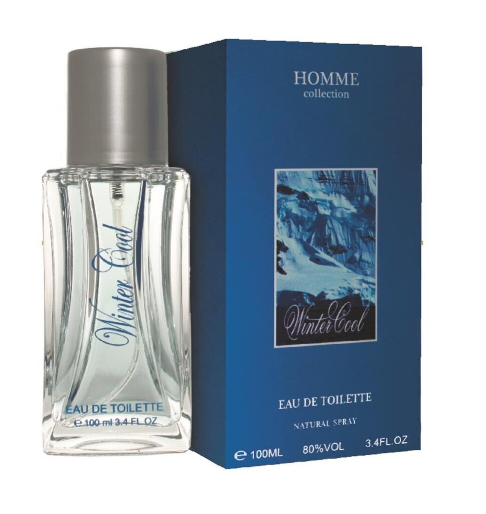 Tualettvesi meestele Homme Collection Winter Cool EDT, 100 ml цена и информация | Meeste parfüümid | kaup24.ee